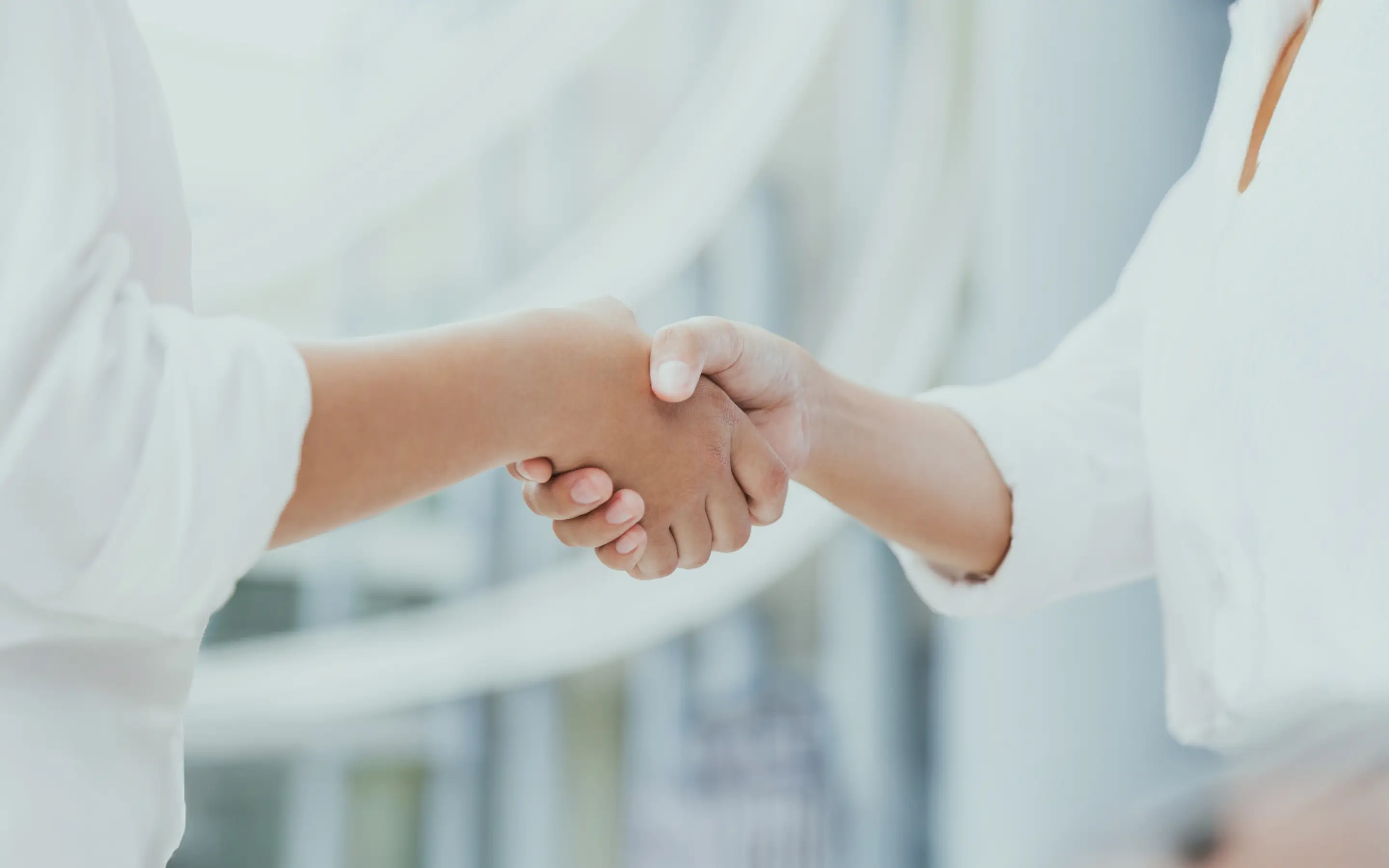 パートナーシップの様子