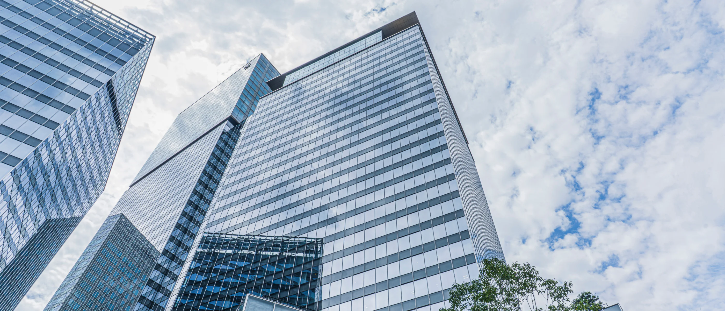 センス・トラストの拠点